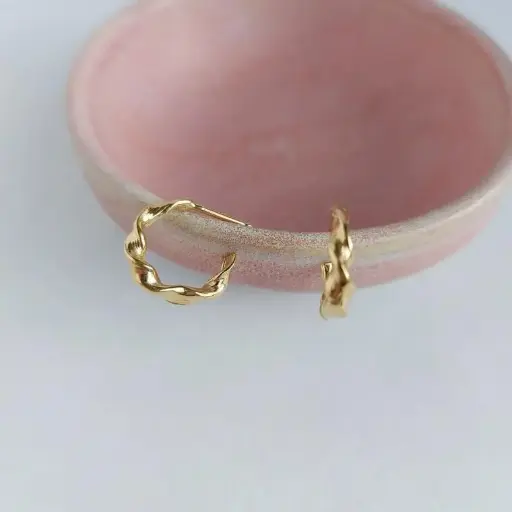 Metallic Hoops Earring